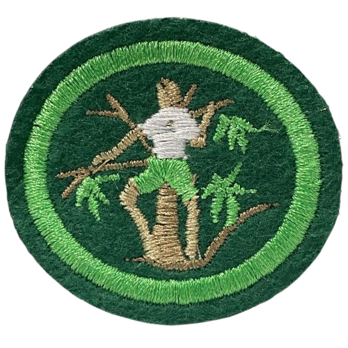 ESPECIALIDADE RECREATIVAS - ESCALADAS EM ÁRVORES