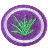 ESPECIALIDADE CIÊNCIA E SAÚDE - PLANTAS MEDICINAIS