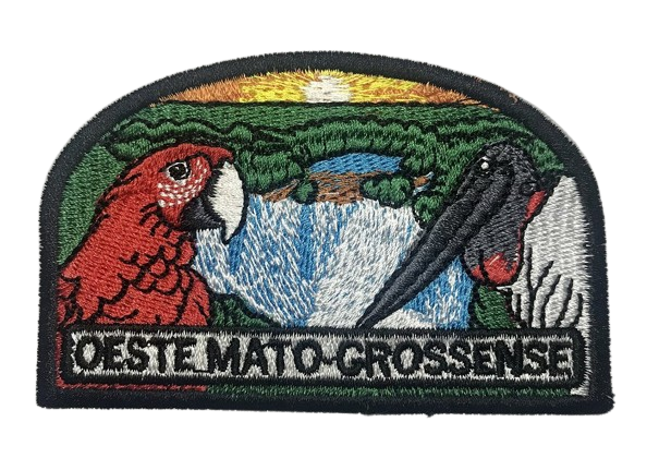 EMBLEMA DE CAMPO ANTIGO - 2ª e 3ª GERAÇÃO - OESTE MATO-GROSSENSE