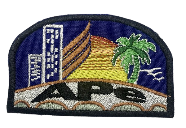 EMBLEMA DE CAMPO ANTIGO - 2ª e 3ª GERAÇÃO - APE