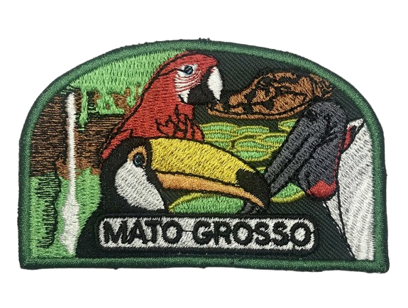 EMBLEMA DE CAMPO ANTIGO - 2ª e 3ª GERAÇÃO - MATO GROSSO DBV