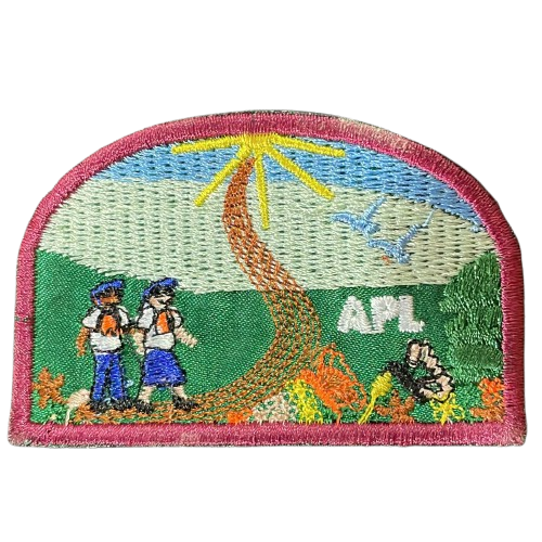 EMBLEMA DE CAMPO ANTIGO - 2ª e 3ª GERAÇÃO - APL AVT