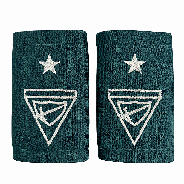 GALÃO DBV - EX DIRETOR (a)