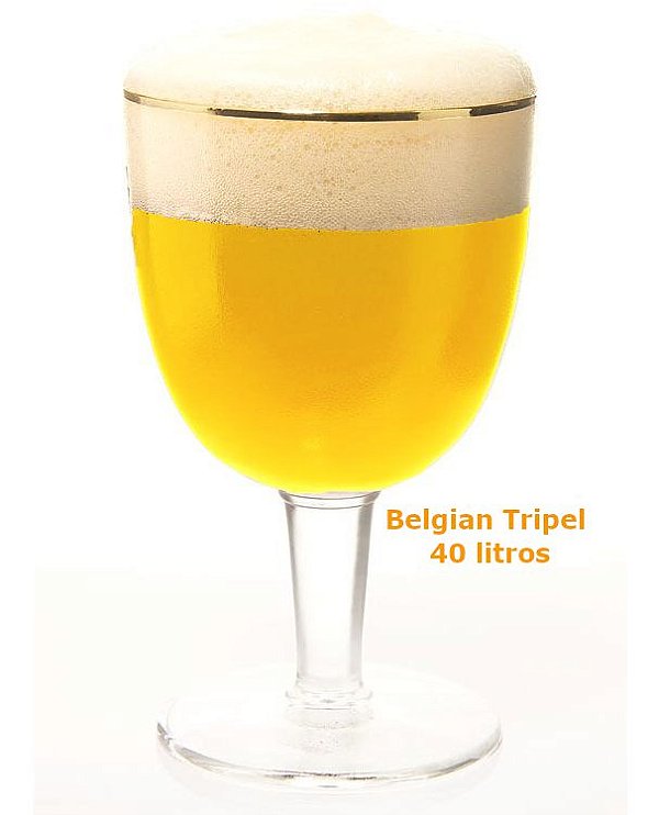 KIT Belgian Tripel 40L