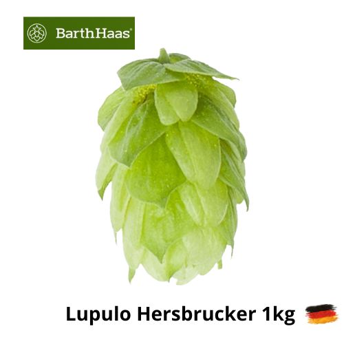 Lupulo Hallertaru Hersbrucker - 1kg