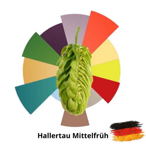 Lúpulo Hallertau Mittelfrüh - 1kg