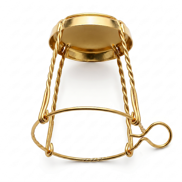Gaiola para garrafa de champagne 30 und