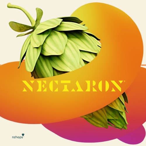 Nectaron  A.A 11.0% - 500 g