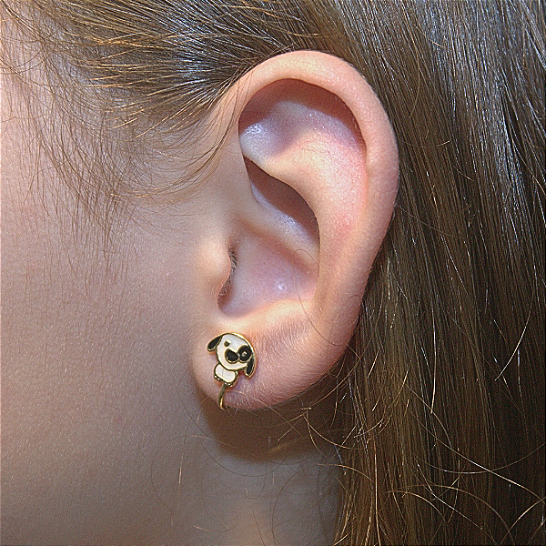 Brinco de Pressão Infantil BP - Cachorrinho Pintado com Banho Ouro 18K ou Prata 925