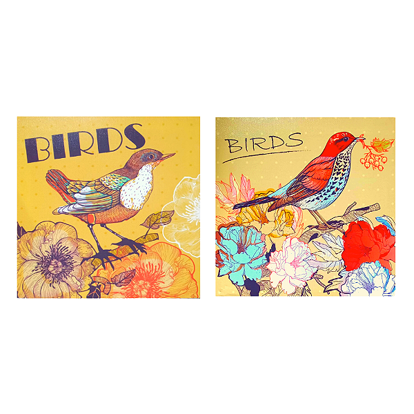 Jogo 2 Telas Canvas 29x29cm Quadros Decorativos Pássaros - Birds.