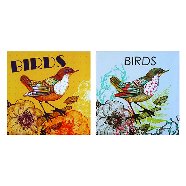 Jogo 2 Telas Canva Quadros 20x20cm Decorativos Pássaros - Birds.