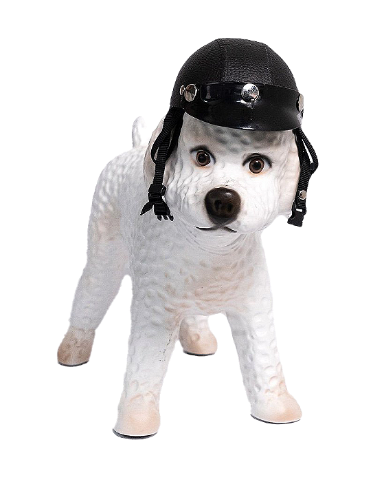 Capacete de Dog ou Cat