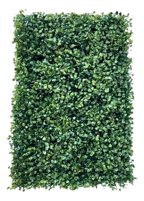 Grama Artificial Buxinho Buchinho Muro Inglês Placa 40x60