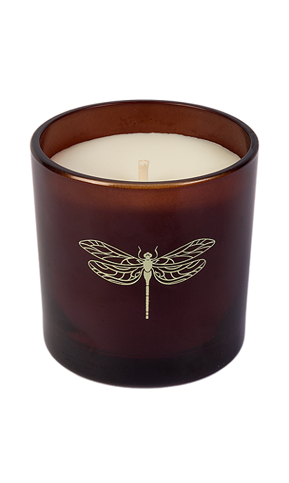 Vela Perfumada Musgo de Carvalho 200g | Linha Jardins Arana