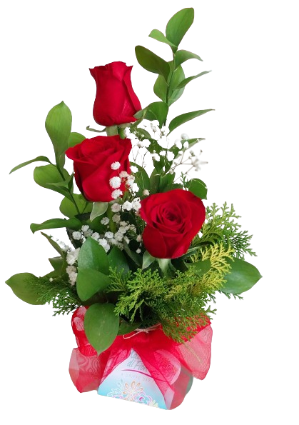 Trio de rosas no vidro