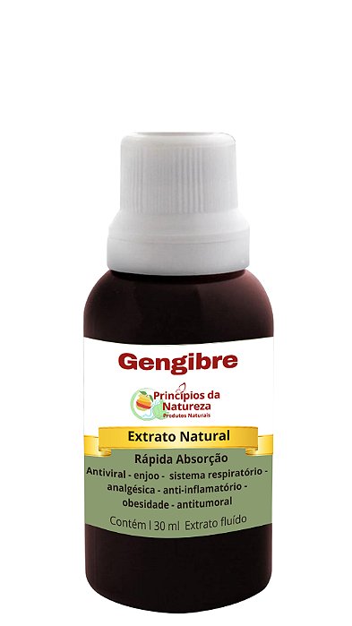 Gengibre