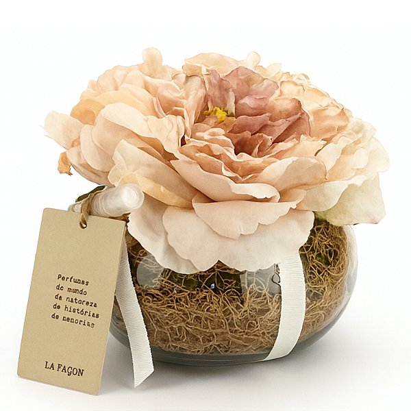 Rosa Perfumada Elysian