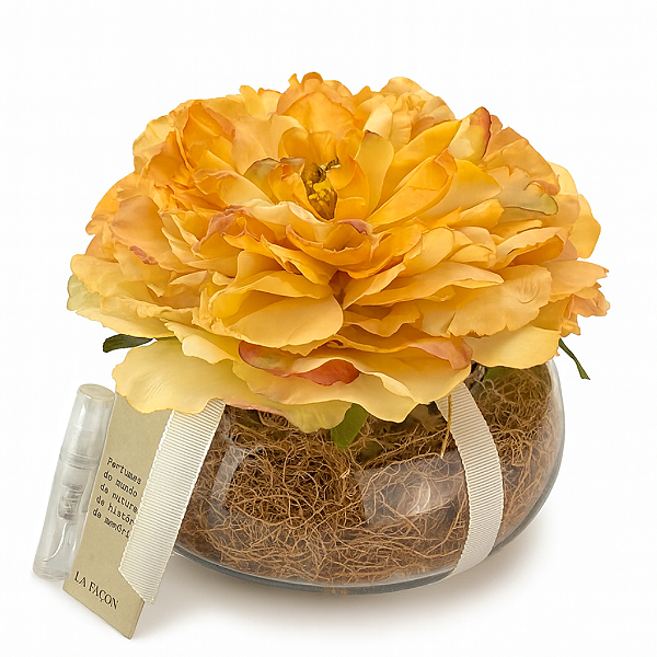 Rosa Perfumada Summer