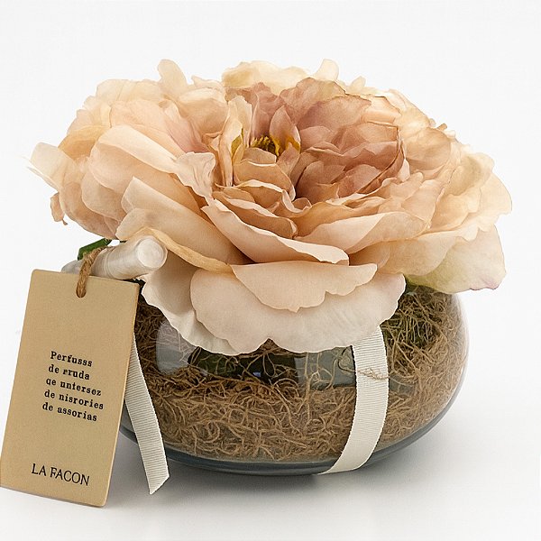 Rosa Perfumada Summer