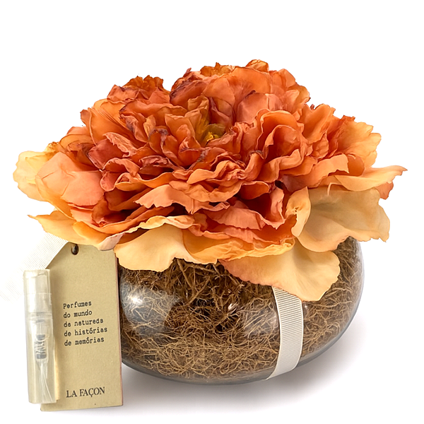 Rosa Perfumada Ládano da Espanha