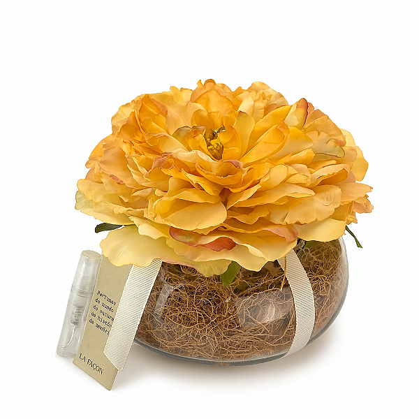 Rosa Perfumada Ládano da Espanha