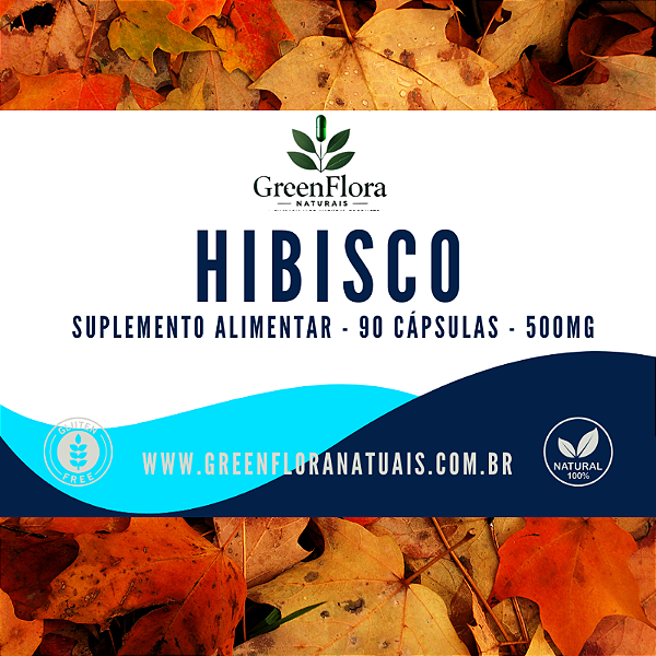 HIBISCO 500MG 90 CÁPSULAS