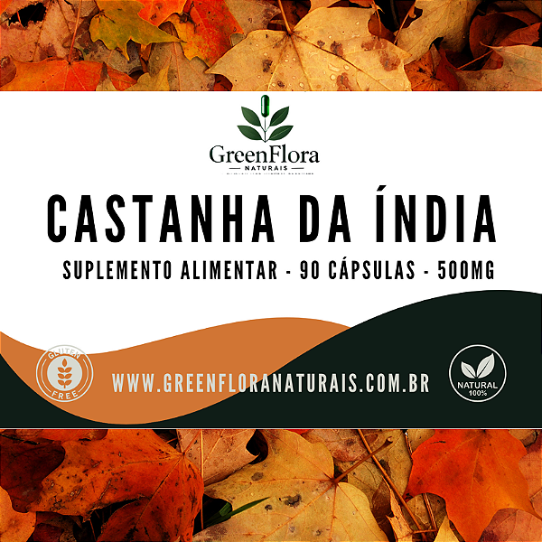 CASTANHA DA INDIA 500MG 90 CÁPSULAS