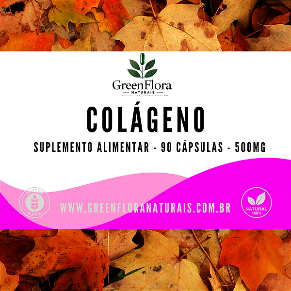 COLAGENO 500MG 90 CÁPSULAS