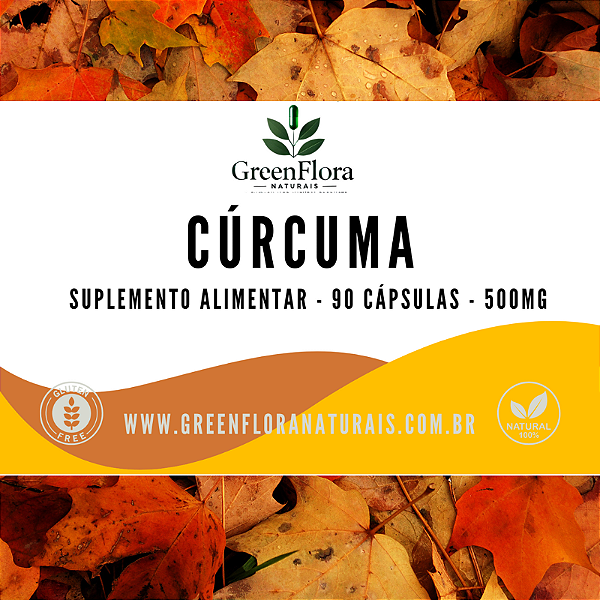 CURCUMA 500MG 90 CAPSULAS