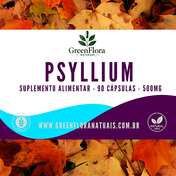 PSYLLIUM 500MG 90 CÁPSULAS