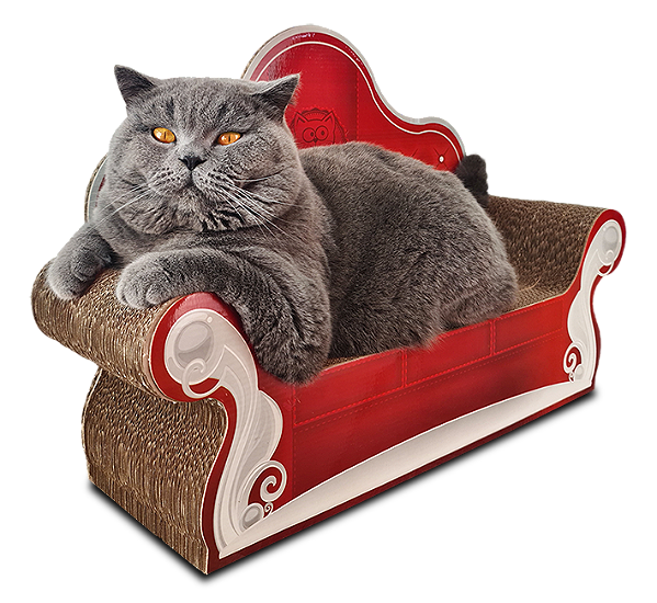Cat Sofa Arranhador