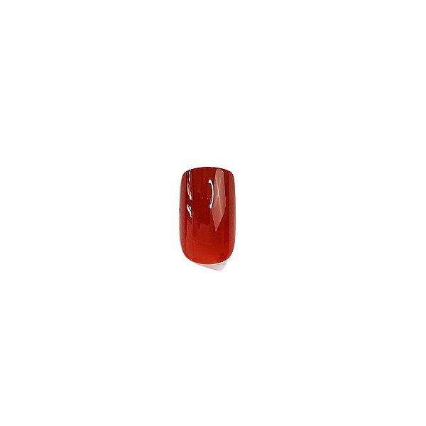 Unha Postiças Autocolante Autumn Gloss