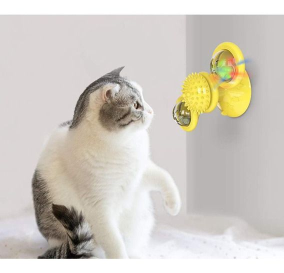 Brinquedo Elétrico para Gato Cantora Animal Andante com Corda Brinquedo Gatinho  Falante Brinquedo Adorável Musica Animal