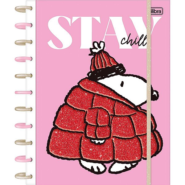 CADERNO DE DISCO GRANDE TILIDISCO SNOOPY 10M TILIBRA