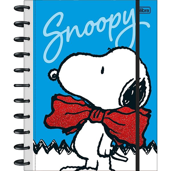CADERNO DE DISCO GRANDE TILIDISCO SNOOPY 10M TILIBRA