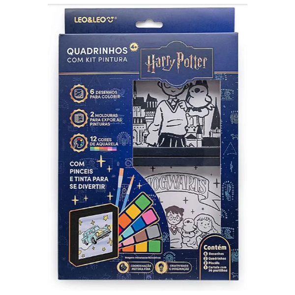Kit Pintura Harry Potter com Quadrinhos Leonora