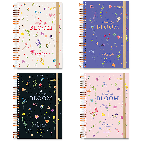 Agenda 2026 Essence Cadersil