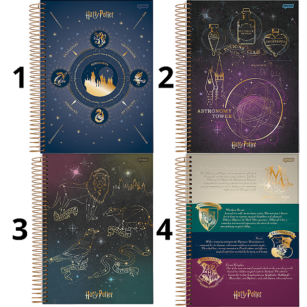 Caderno Colegial 10M 160fls Harry Potter Jandaia