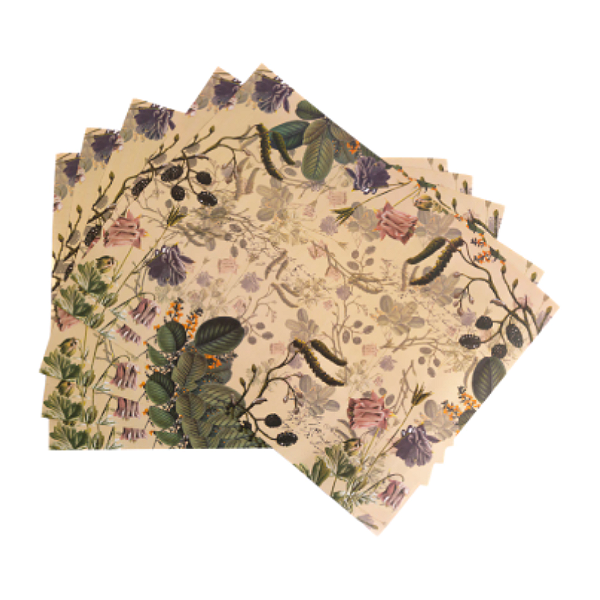 Papel Perfumado de Gaveta Dani Fernandes Flor de Figo 5F Animativa