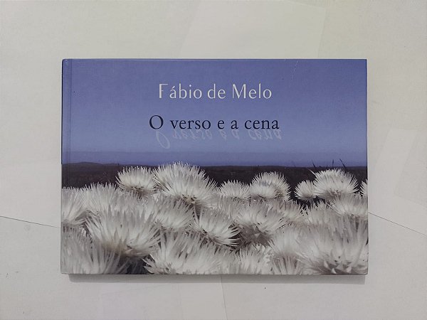 O Verso e  Cena - Fábio de Melo - Fotos