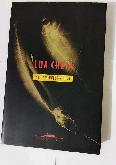 Lua Cheia - Antonio Muñoz Molina