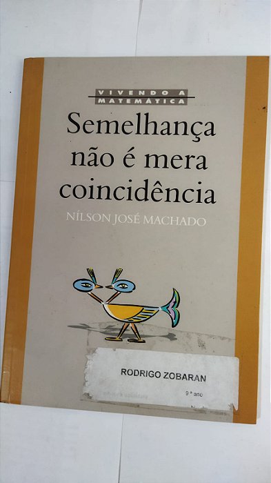 Semelhança Não É Mera Coincidência - Nílson José Machado