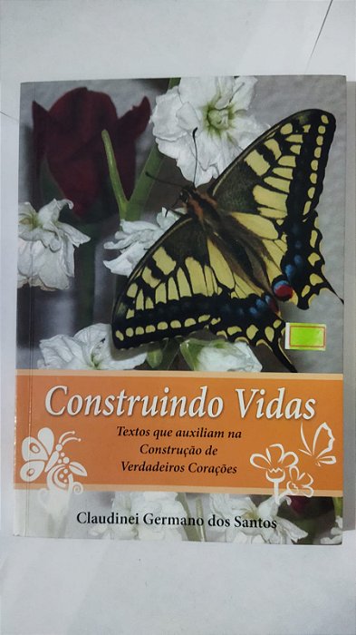 Contruindo Vidas - Claudinei Dos Santos