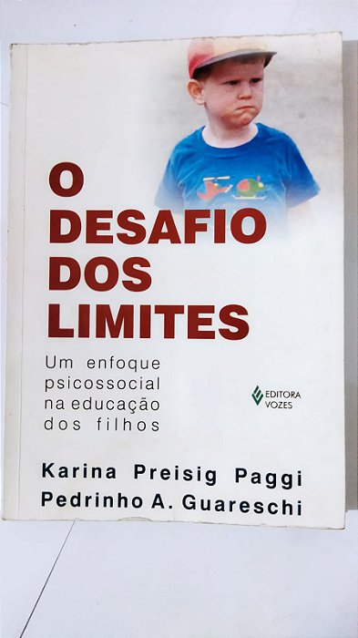 O Desafio dos Limites - Karina Preisig Paggi