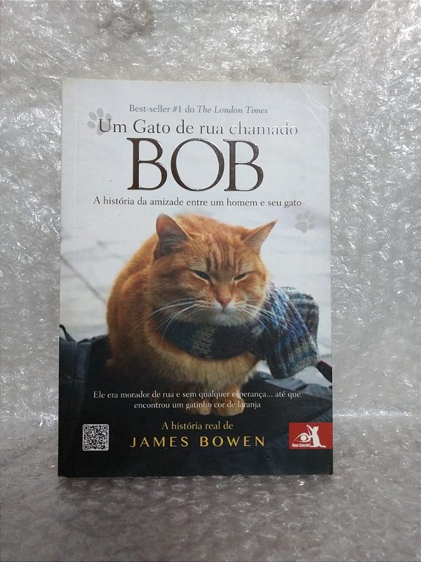 Um Gato de Rua Chamado Bob - James Bowen