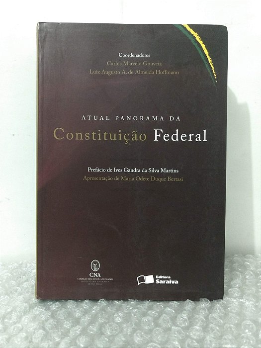 Atual Panorama da Constituição Federal - Carlos Marcelo Gouveia