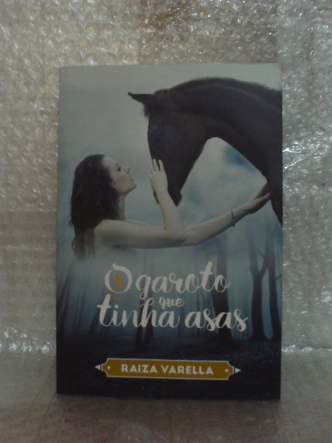 O Garoto que Tinha Asas - Raiza Varella