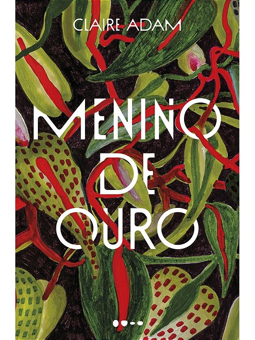 Menino de ouro - Claire Adam - Todavia