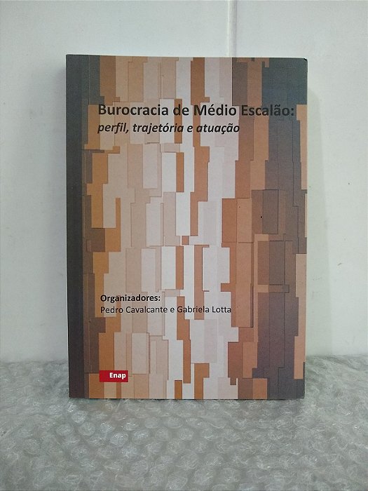 Burocracia de Médio Escalão: Perfil, Trajetória e Atuação - Pedro Cavalcante e Gabriela Lotta (orgs.)