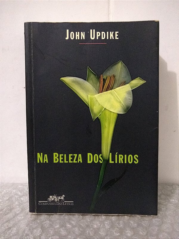 Na Beleza dos Lírios - John Updike
